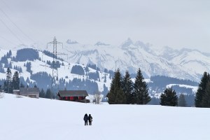 leysin29