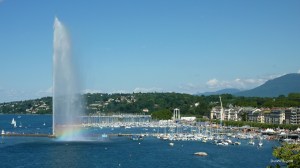 DWHS-20100806061_cr-qf