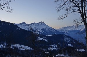 DWHS-20150307024-brt